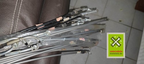 IMG_20230831_200428